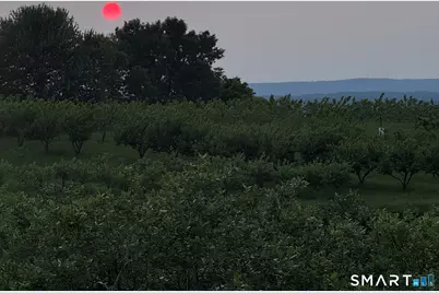 280-300 Matson Hill Road, Glastonbury, CT 06073 - Photo 15