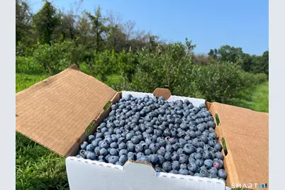 280-300 Matson Hill Road, Glastonbury, CT 06073 - Photo 21