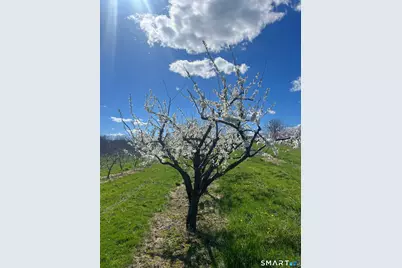 280-300 Matson Hill Road, Glastonbury, CT 06073 - Photo 17