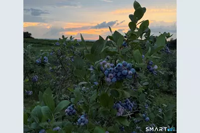 280-300 Matson Hill Road, Glastonbury, CT 06073 - Photo 13