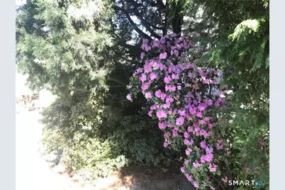 25 Saugatuck Avenue #9, Westport, CT 06880 - Photo 15