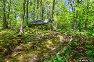 4 Old Barlow Mountain Rd, Ridgefield, CT 06877 - Photo 31