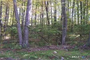 254 Stoddard Rd, Morris, CT 06763 - Photo 1