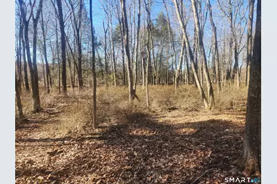 286 East Street, Stafford, CT 06076 - Photo 19