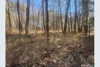 286 East Street, Stafford, CT 06076 - Photo 17