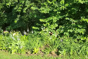 10 Elizabeth Ln, Windham, CT 06256 - Photo 17