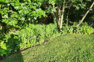 10 Elizabeth Ln, Windham, CT 06256 - Photo 19