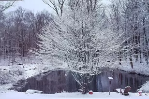 7 Joanne Ln, Weston, CT 06883 - Photo 29