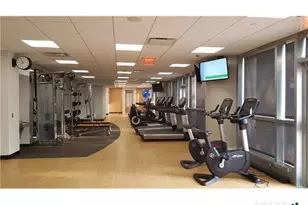 127 Greyrock Pl, Stamford, CT 06901 - Photo 17