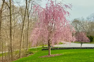 15 Mains Way, Preston, CT 06365 - Photo 33