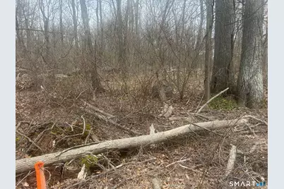 14 Juniper Drive #13,14, Coventry, CT 06238 - Photo 7