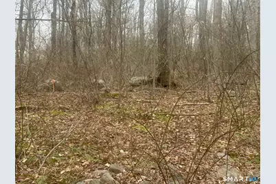 14 Juniper Drive #13,14, Coventry, CT 06238 - Photo 5