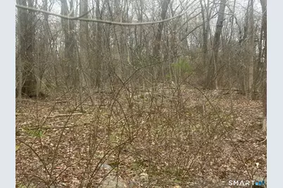 14 Juniper Drive #13,14, Coventry, CT 06238 - Photo 3