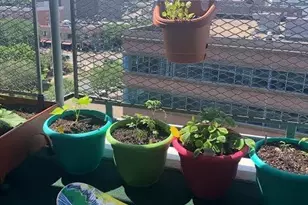 444 Bedford St, Stamford, CT 06901 - Photo 21