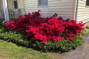 15 Oregon Ave, Hamden, CT 06514 - Photo 15