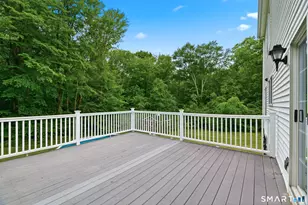 19 Rosemarie Ln, Bozrah, CT 06334 - Photo 29