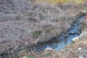 1489 Georges Hill Rd, Southbury, CT 06488 - Photo 3