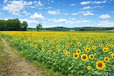 146 Village Street, North Branford, CT 06472 - Photo 5