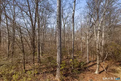 8 North Ridge #8, East Hampton, CT 06424 - Photo 37