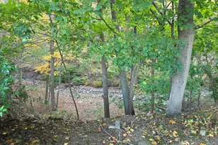 481 Bunker Hill Ave, Waterbury, CT 06708 - Photo 13