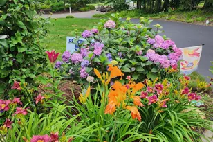 16 Stonewall Dr, Granby, CT 06090 - Photo 5