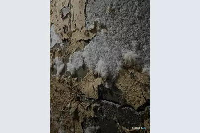 57 Hall Hill Road, Willington, CT 06279 - Photo 7