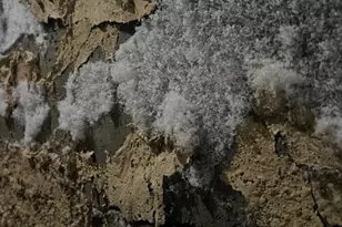 57 Hall Hill Rd, Willington, CT 06279 - Photo 7