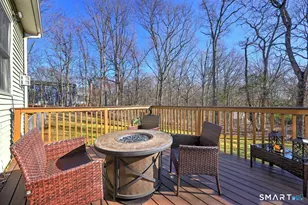 22 Patrick Dr, Seymour, CT 06483 - Photo 21