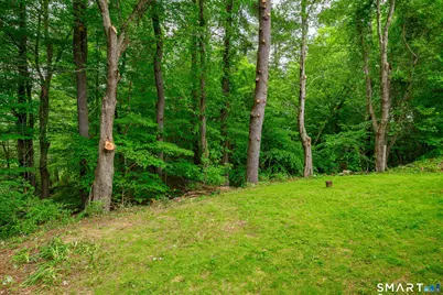 3 Botsford Hill Road, Newtown, CT 06470 - Photo 25