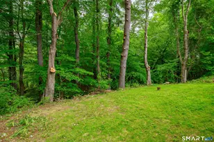 3 Botsford Hill Rd, Newtown, CT 06470 - Photo 25