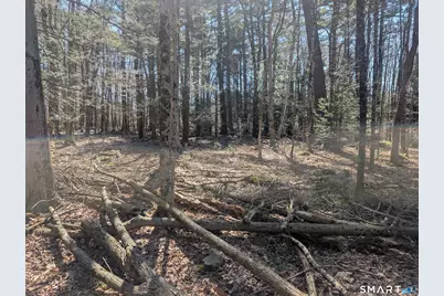 3222 Torringford Street, Torrington, CT 06790 - Photo 3