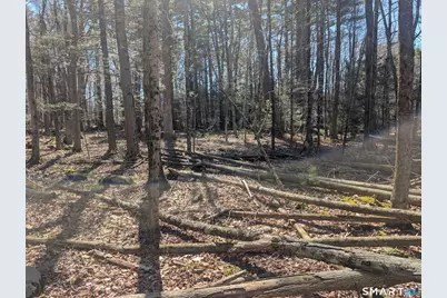 0 Torringford Street, Torrington, CT 06790 - Photo 9