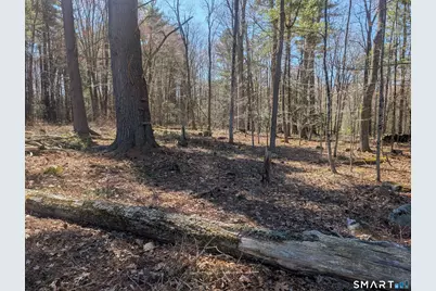 0 Torringford Street, Torrington, CT 06790 - Photo 13