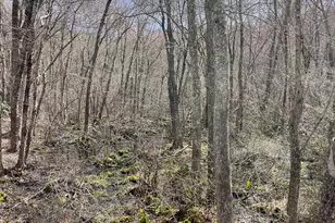 34 Rossi Ave, Stonington, CT 06379 - Photo 5