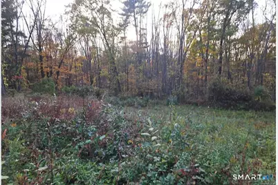 36 Olde Meadow Road, Woodstock Valley, CT 06281 - Photo 13