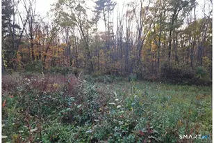 36 Olde Meadow Rd, Woodstock Valley, CT 06281 - Photo 13