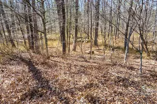 36 Olde Meadow Rd, Woodstock Valley, CT 06281 - Photo 7