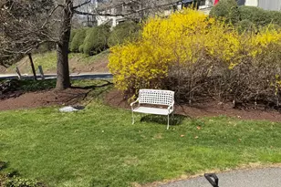 235 Heritage Vlg, Southbury, CT 06488 - Photo 9