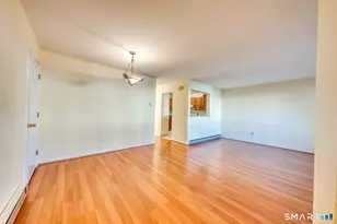 303 Willow Springs, New Milford, CT 06776 - Photo 5