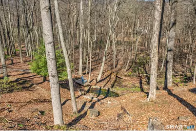 773 Devonwood Drive, Cheshire, CT 06410 - Photo 37