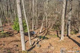 773 Devonwood Dr, Cheshire, CT 06410 - Photo 37