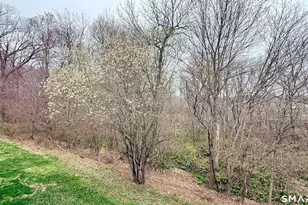 55 Nina's Way, Manchester, CT 06040 - Photo 25