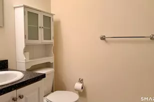 55 Nina's Way, Manchester, CT 06040 - Photo 19