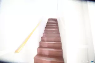 36 Cassius St, New Haven, CT 06519 - Photo 7