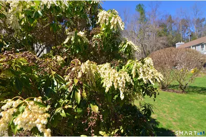 334 Heritage Village #A, Southbury, CT 06488 - Photo 35