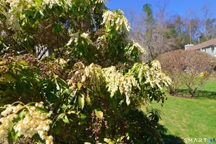 334 Heritage Vlg, Southbury, CT 06488 - Photo 35