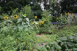 5 Hearthstone Dr, Bethel, CT 06801 - Photo 19