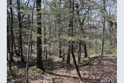 Windy Ridge Road, Warren, CT 06754 - Photo 9