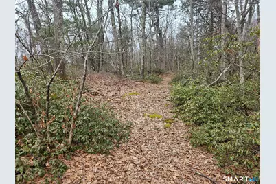 Windy Ridge Road, Warren, CT 06754 - Photo 5