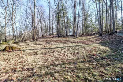 156 Stadley Rough Road, Danbury, CT 06811 - Photo 27
